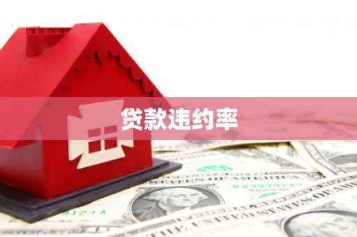 江夏贷款违约率