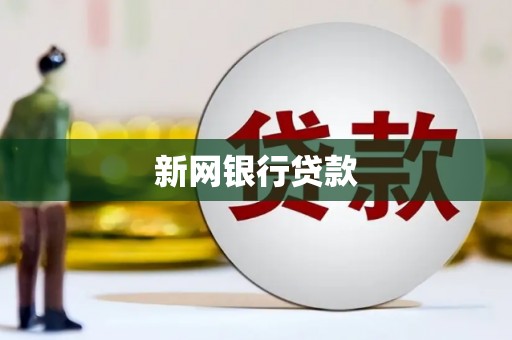 桐城新网银行贷款