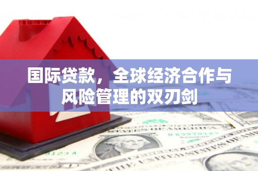 资阳国际贷款，全球经济合作与风险管理的双刃剑