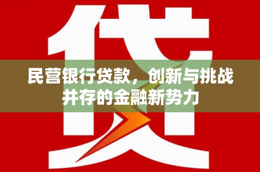 花莲民营银行贷款，创新与挑战并存的金融新势力