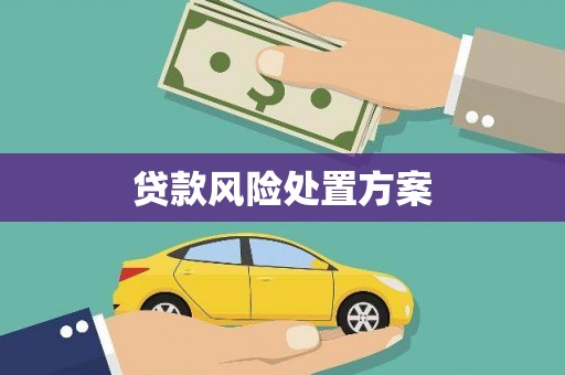 潼关贷款风险处置方案