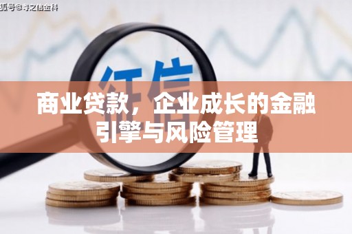 大名商业贷款，企业成长的金融引擎与风险管理