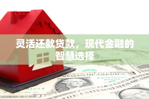 镇原灵活还款贷款，现代金融的智慧选择
