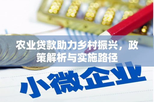 温岭农业贷款助力乡村振兴，政策解析与实施路径
