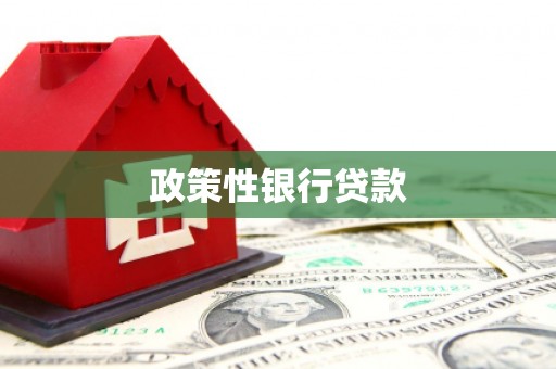 黄梅政策性银行贷款
