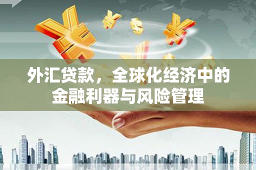 山东外汇贷款，全球化经济中的金融利器与风险管理