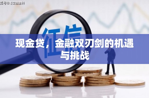 贾汪现金贷，金融双刃剑的机遇与挑战