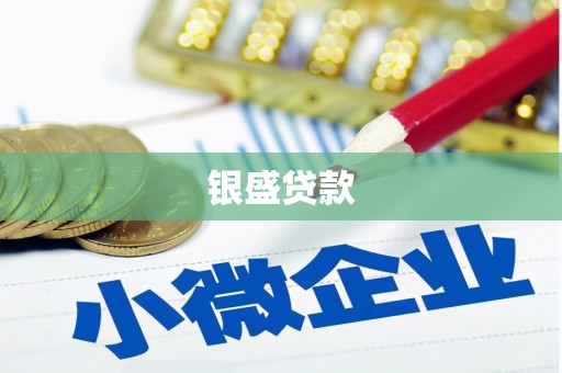 天峨银盛贷款