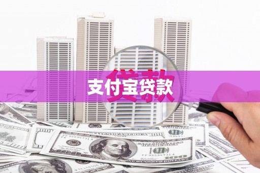 水林支付宝贷款
