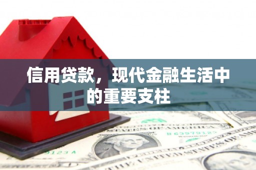南涧信用贷款，现代金融生活中的重要支柱
