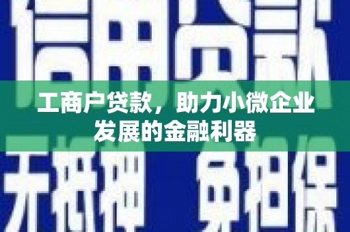 田林工商户贷款，助力小微企业发展的金融利器