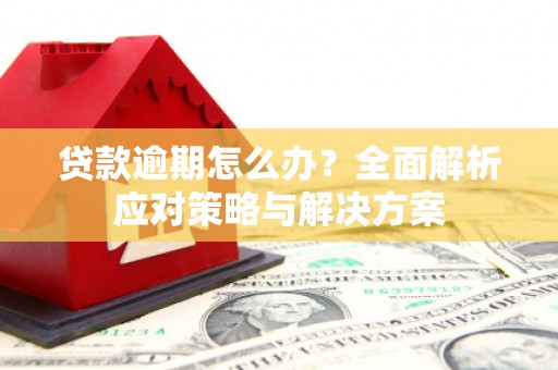 田林贷款逾期怎么办？全面解析应对策略与解决方案