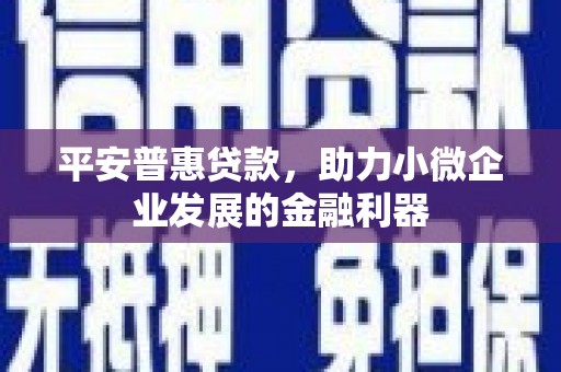 白云平安普惠贷款，助力小微企业发展的金融利器