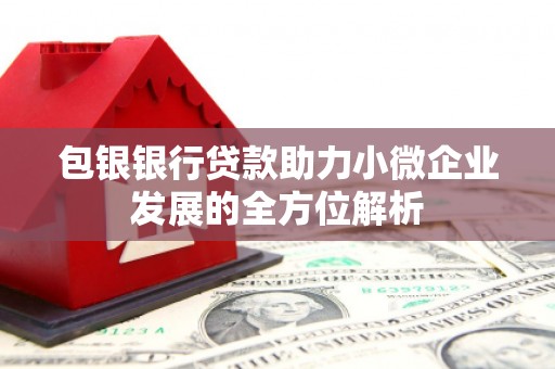 盐田包银银行贷款助力小微企业发展的全方位解析 盐田包银银行贷款助力小微企业发展的全方位解析