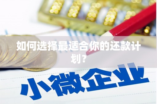 石龙如何选择最适合你的还款计划？