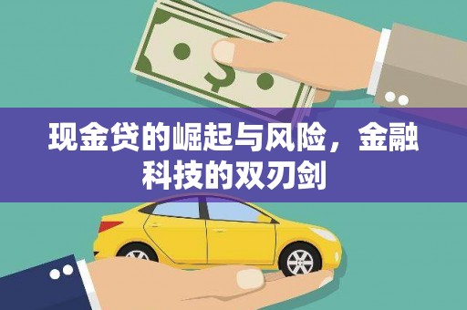 芦洲现金贷的崛起与风险，金融科技的双刃剑