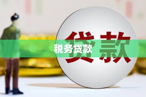北关税务贷款