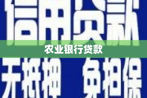 剑阁农业银行贷款