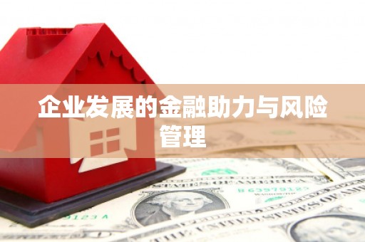 三江企业发展的金融助力与风险管理