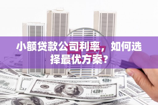 沈河小额贷款公司利率，如何选择最优方案？