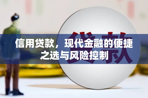 巩义信用贷款，现代金融的便捷之选与风险控制