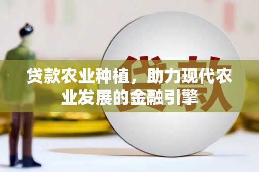 大丰贷款农业种植，助力现代农业发展的金融引擎