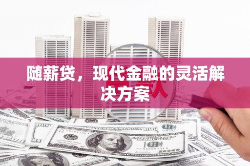 寿丰随薪贷，现代金融的灵活解决方案