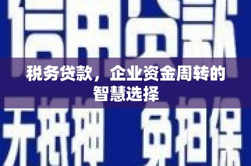 海安税务贷款，企业资金周转的智慧选择