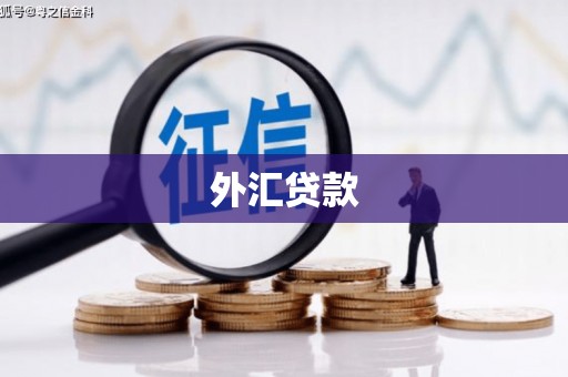 钦北外汇贷款