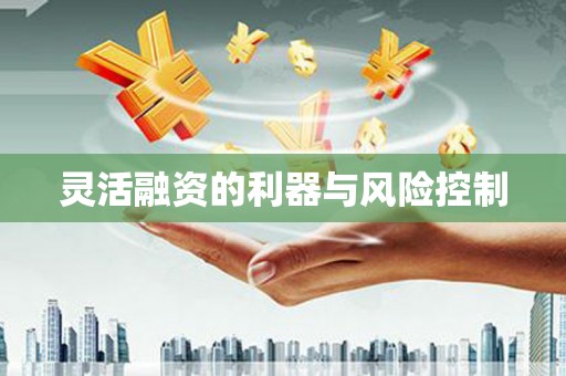 纳溪灵活融资的利器与风险控制