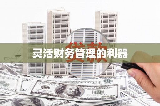 麦寮灵活财务管理的利器
