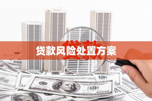 迎泽贷款风险处置方案