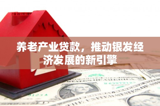 望安养老产业贷款，推动银发经济发展的新引擎