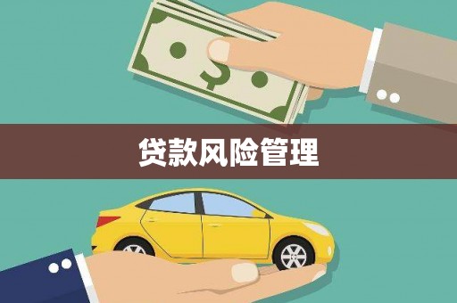 正镶白旗贷款风险管理