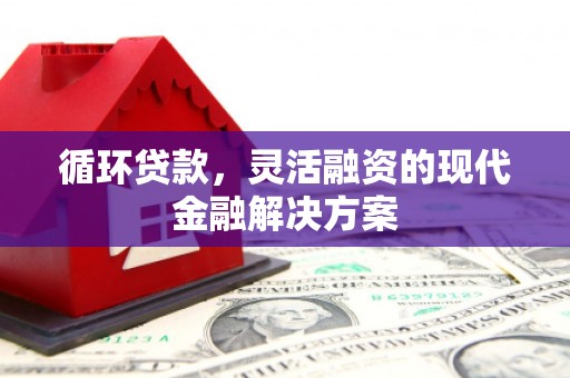 泌阳循环贷款，灵活融资的现代金融解决方案