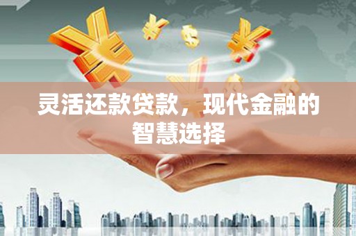 南宫灵活还款贷款，现代金融的智慧选择