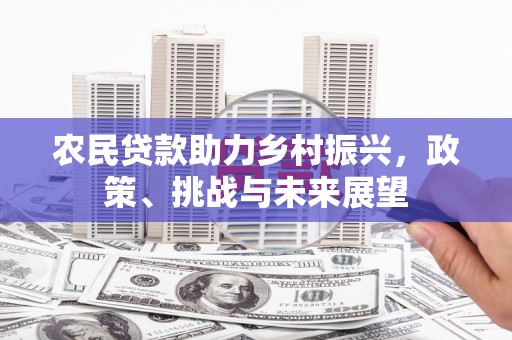 金城农民贷款助力乡村振兴，政策、挑战与未来展望