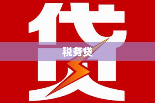 道外税务贷