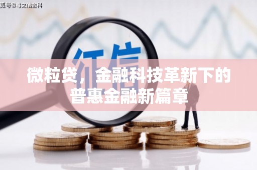 柳城微粒贷，金融科技革新下的普惠金融新篇章