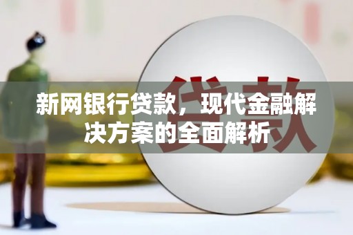 庐阳新网银行贷款，现代金融解决方案的全面解析