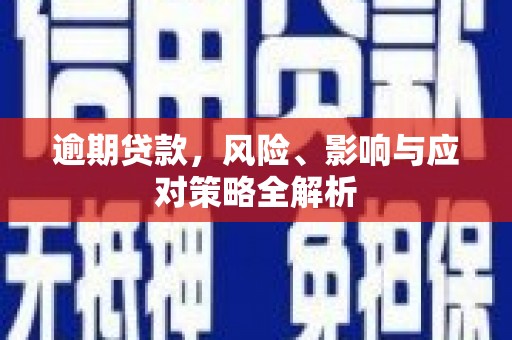 和布克赛尔逾期贷款，风险、影响与应对策略全解析