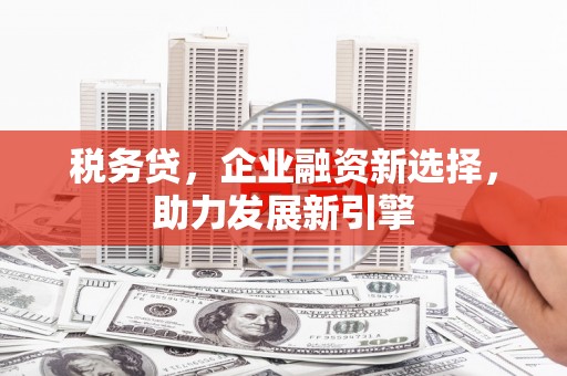 沈北新区税务贷，企业融资新选择，助力发展新引擎