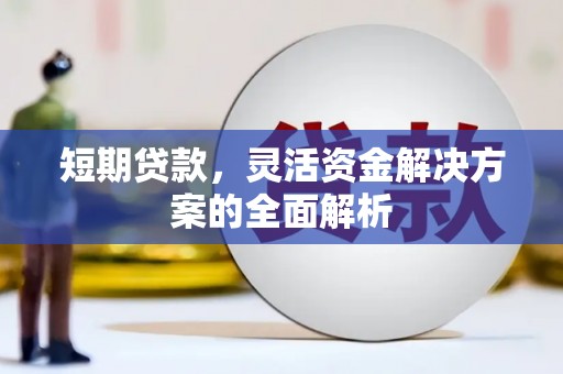 扶绥短期贷款，灵活资金解决方案的全面解析