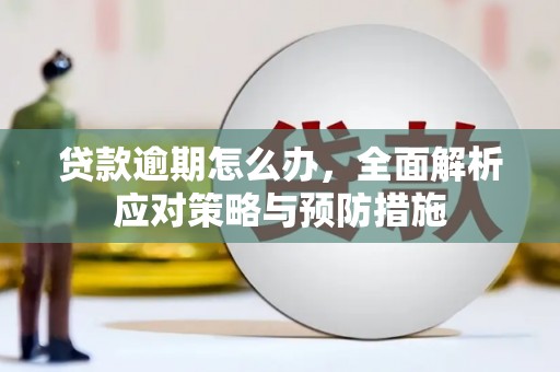濮阳贷款逾期怎么办，全面解析应对策略与预防措施