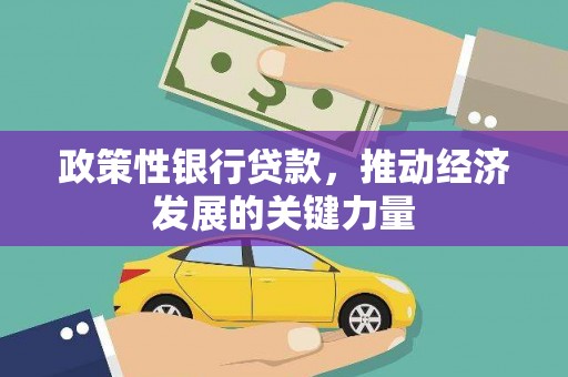 珙县政策性银行贷款，推动经济发展的关键力量
