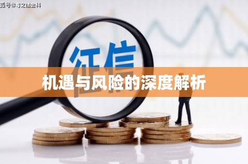 金溪机遇与风险的深度解析