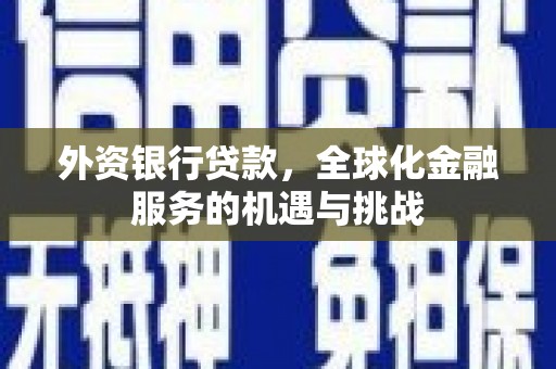 米东外资银行贷款，全球化金融服务的机遇与挑战