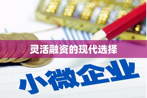 宁江灵活融资的现代选择