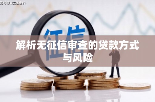 屯门解析无征信审查的贷款方式与风险