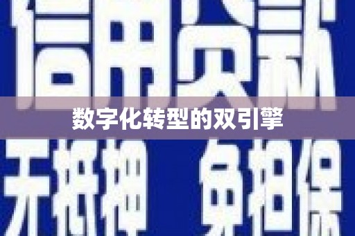 芒市数字化转型的双引擎